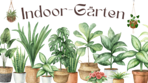 Mehr über den Artikel erfahren Indoor-Gärten