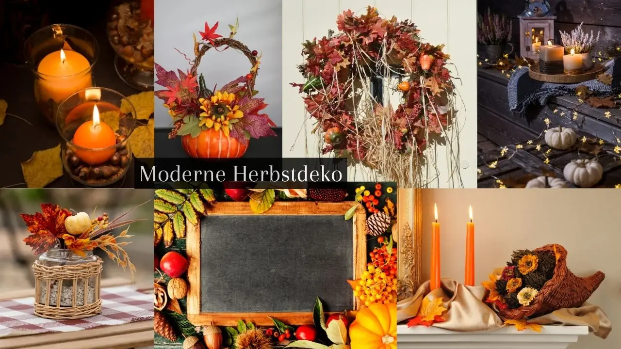 Du betrachtest gerade Moderne Herbstdekoration