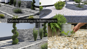 Mehr über den Artikel erfahren Schottergarten